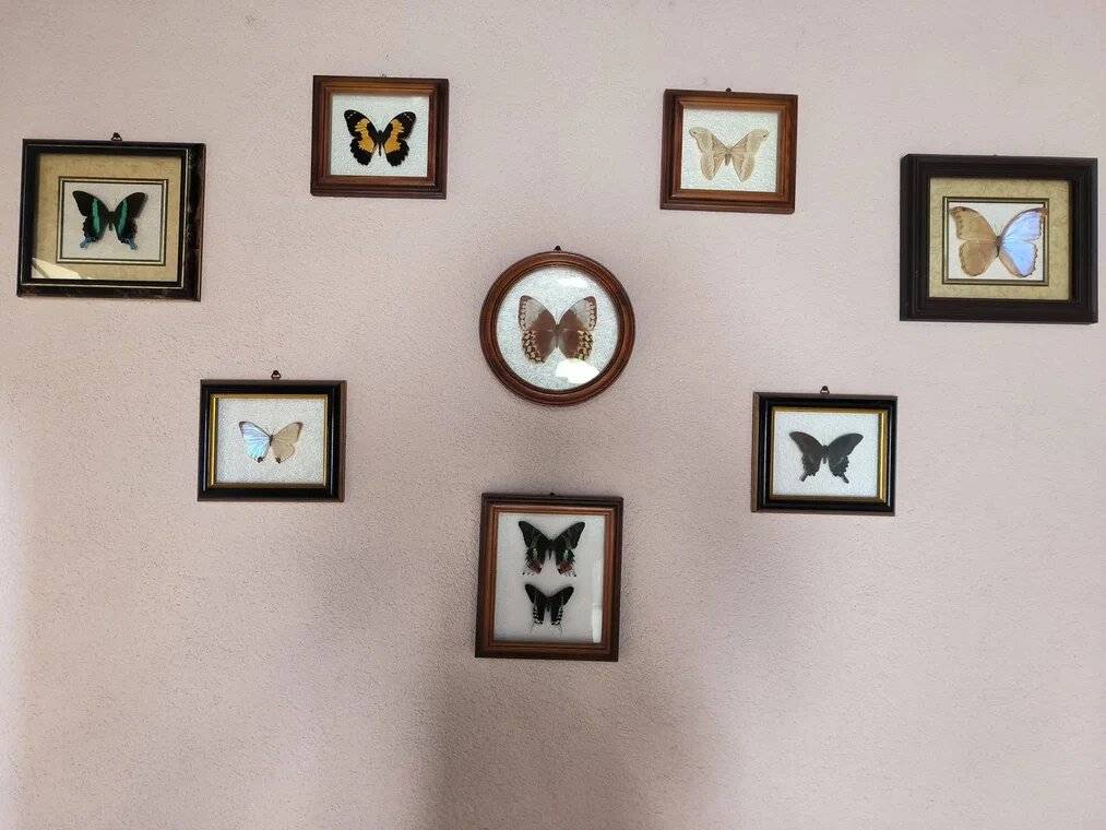 Фото Гостиницы Островок Алушта 2